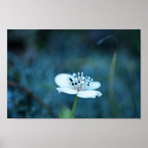 Sommerliche Erinnerungen Poster