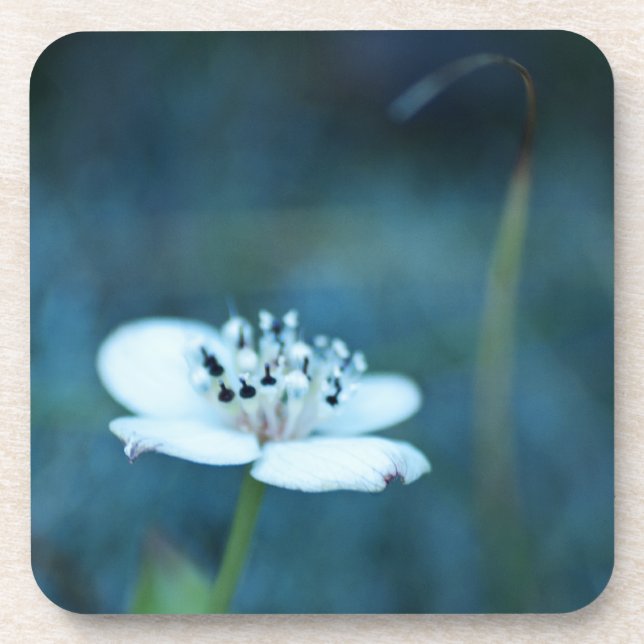 Sommerliche Erinnerungen Untersetzer (Vorderseite)