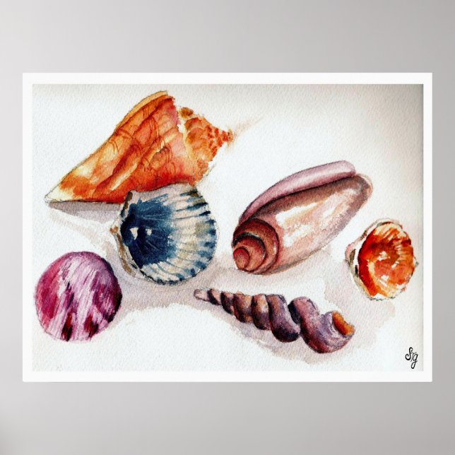 Sommerliche Muscheln Poster (Vorne)