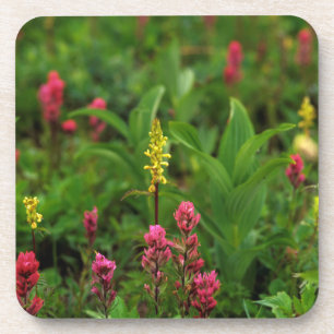 Sommerliche Wildblumen sorgen für einen farbenfro Untersetzer