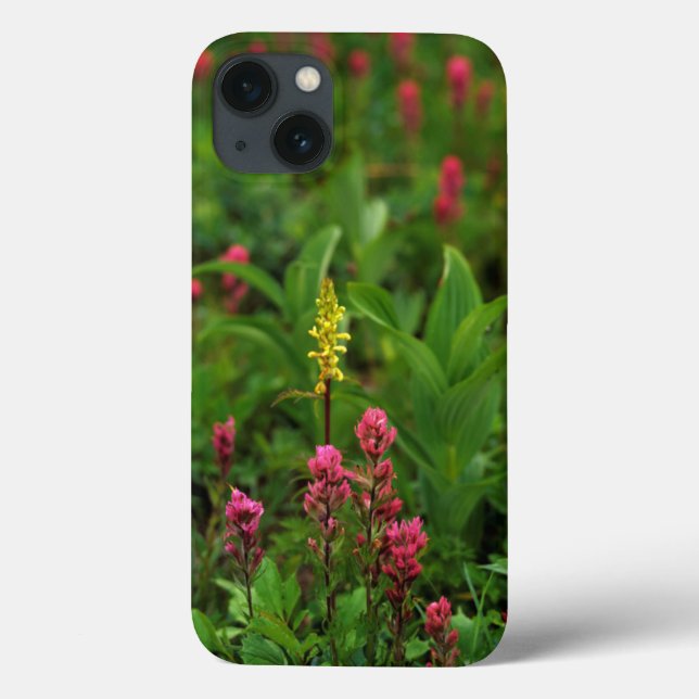 Sommerliche Wildblumen sorgen für Farbenrummel Case-Mate iPhone Hülle (Rückseite)