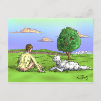 Sommerlicher Abend, die Sonne im Hintergrund Postkarte