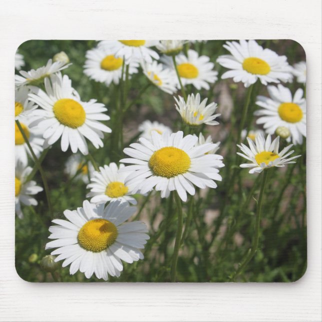 Sommermäusepad Mousepad (Vorne)