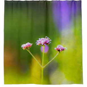 Sommerpalette Duschvorhang