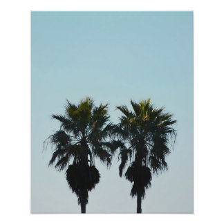 Sommerpalmen-Fotoabzug 16x20 Fotodruck