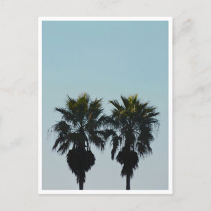 Sommerpalmen Postkarte