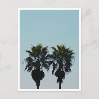 Sommerpalmen Postkarte