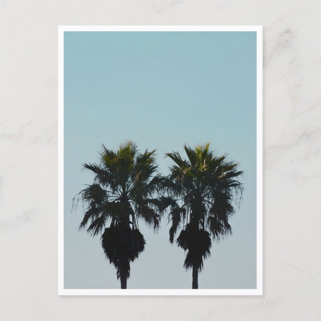 Sommerpalmen Postkarte (Vorderseite)