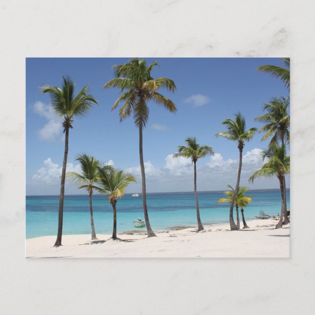 Sommerparadies Feiertagspostkarte (Vorderseite)