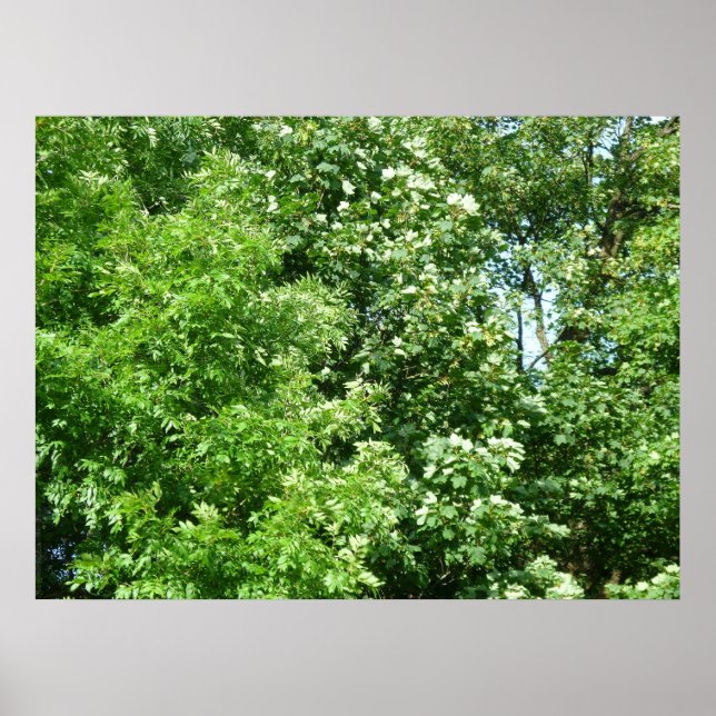 Sommerpause Poster (Vorne)