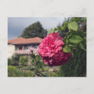 Sommerpostkarte Postkarte