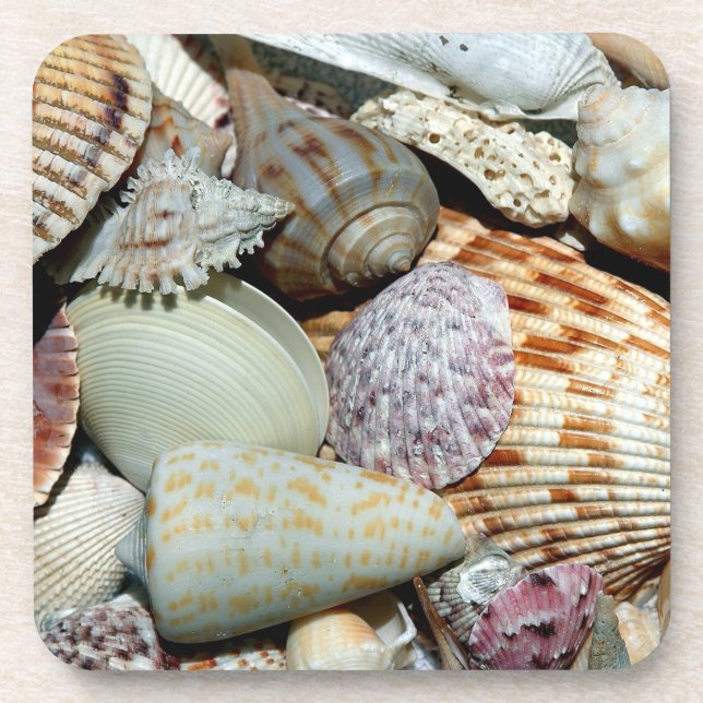 Sommersaison Seashell Untersetzer (Vorderseite)