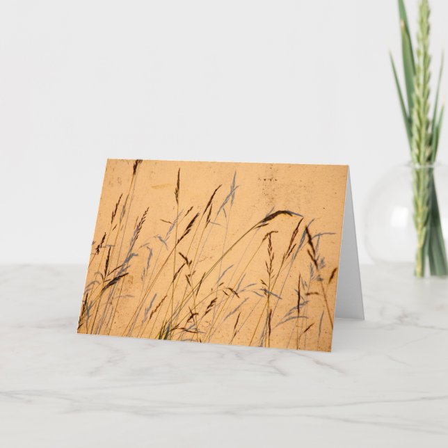 Sommerschatten Karte (Vorderseite)