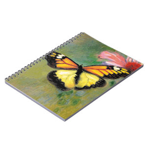 Sommerschmetterling im Frühjahr - Notizblock