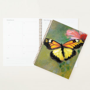 Sommerschmetterling im Frühjahr - Planer