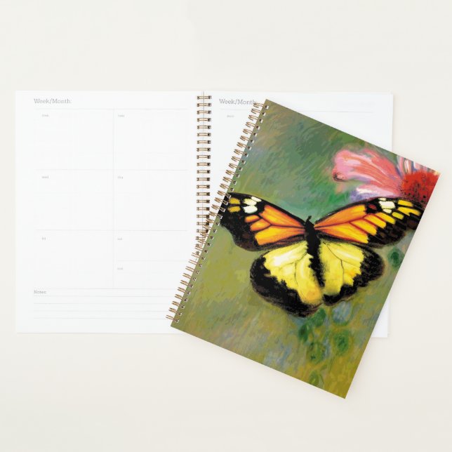 Sommerschmetterling im Frühjahr - Planer (Anzeige)