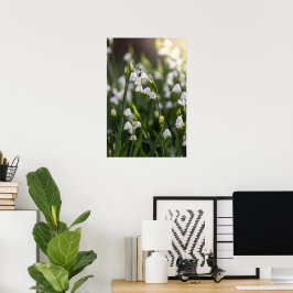 Sommerschneeflocken-weiße Blume Poster