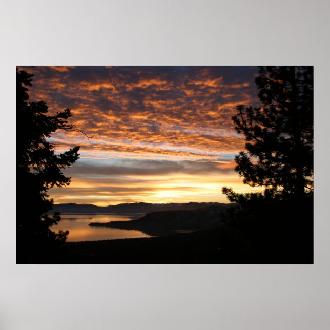 Sommersonne in Tahoe Poster (Vorne)