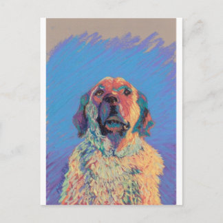 Sommersonne Postkarte