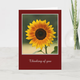 Sommersonnenblume Faltkarte Karte