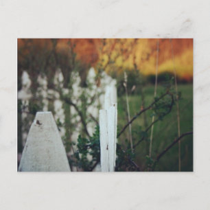 Sommersonnenwende Postkarte
