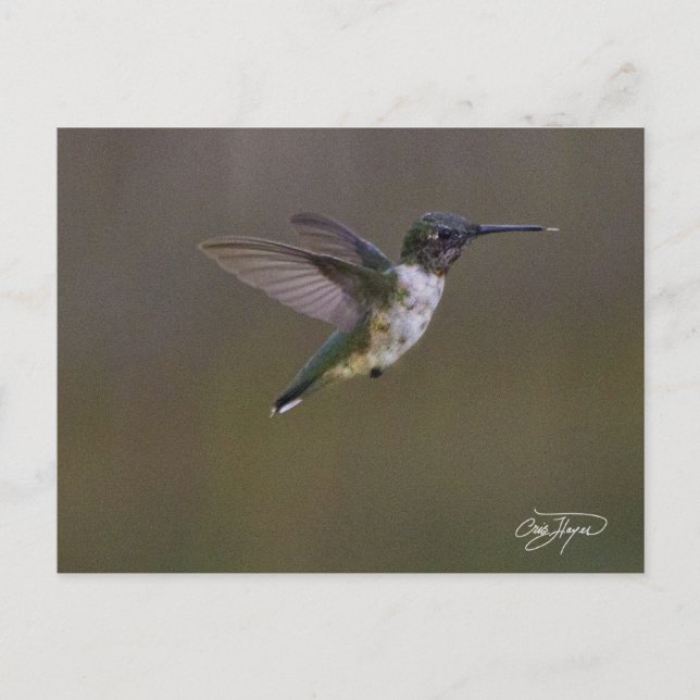 Sommerspass Postkarte (Vorderseite)