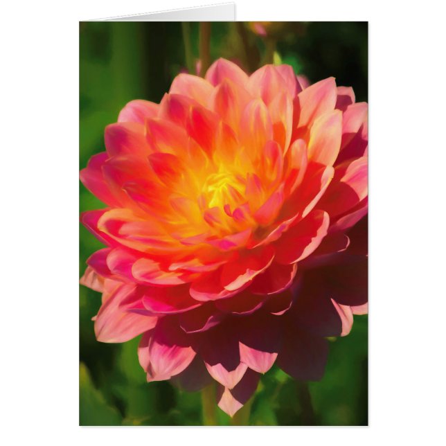 Sommerspektakel (Vorne)