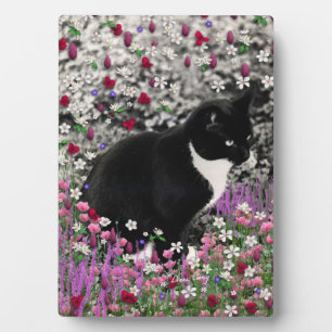 Sommersprossen in Blumen II - Tuxedo Kitty Katze Fotoplatte