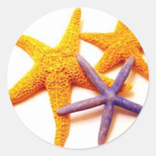 Sommerstarfish-Aufkleber Runder Aufkleber