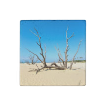 Sommerstrand