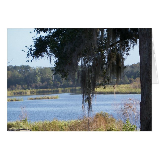 Sommersüdliche Seespiegelung (Vorderseite (Horizontal))