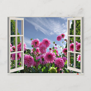 Sommertag, Dahlias in Bloom Postkarte