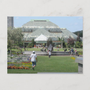 Sommertag in Chicago Postkarte