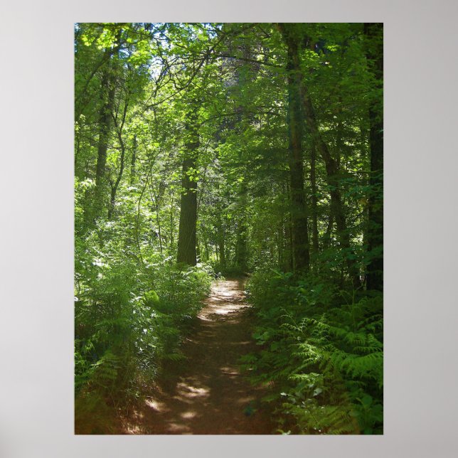 Sommertage (6) Poster (Vorne)