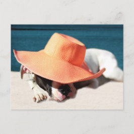 Sommertage am Meer Postkarte