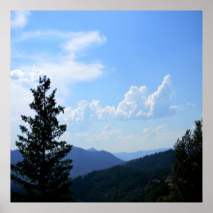 Sommertauchköpfe...... Poster