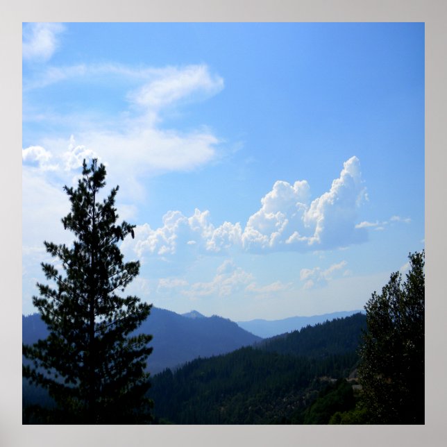 Sommertauchköpfe...... Poster (Vorne)