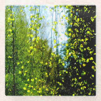 Sommervorhang Glasuntersetzer