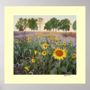 Sommervormittag Poster