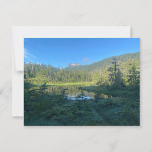 Sommerwanderung durch den grünen Wald Postkarte