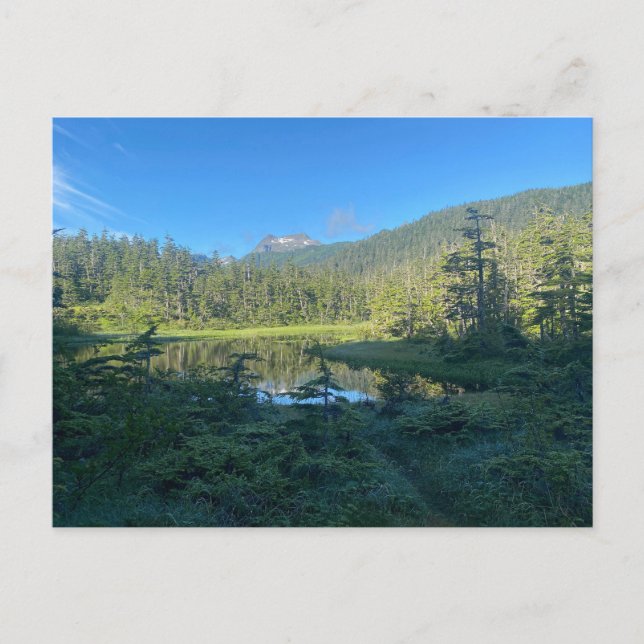 Sommerwanderung durch den grünen Wald Postkarte (Vorderseite)