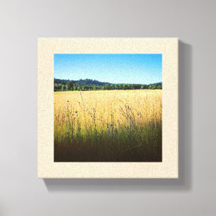 Sommerwiese mit blauen Wildblumen Leinwanddruck