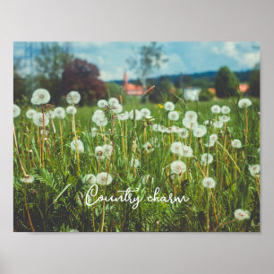 Sommerwiese mit Leuchten Poster