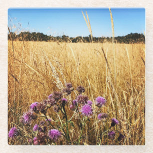Sommerwiese mit Milk Thistle Glasuntersetzer