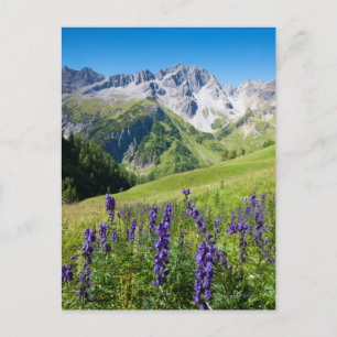 Sommerwiesen mit Monkshood im Vordergrund, die Postkarte