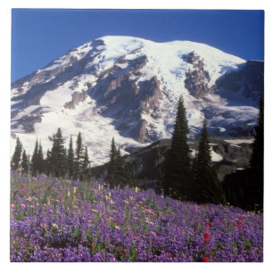 Sommerwildblumen am Fuße des Mount Rainier, 2 Fliese