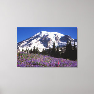 Sommerwildblumen am Fuße des Mount Rainier, 2 Leinwanddruck