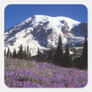 Sommerwildblumen am Fuße des Mount Rainier, 2 Quadratischer Aufkleber