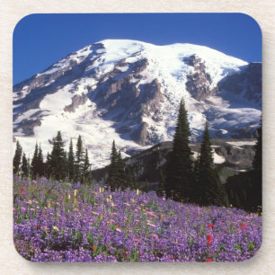 Sommerwildblumen am Fuße des Mount Rainier, 2 Untersetzer