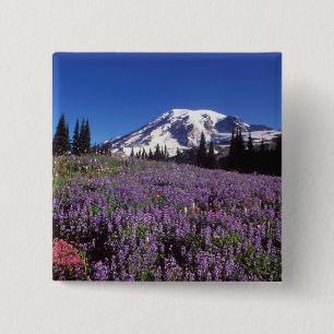 Sommerwildblumen am Fuße des Mount Rainier, Button